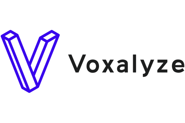 Voxalyze
